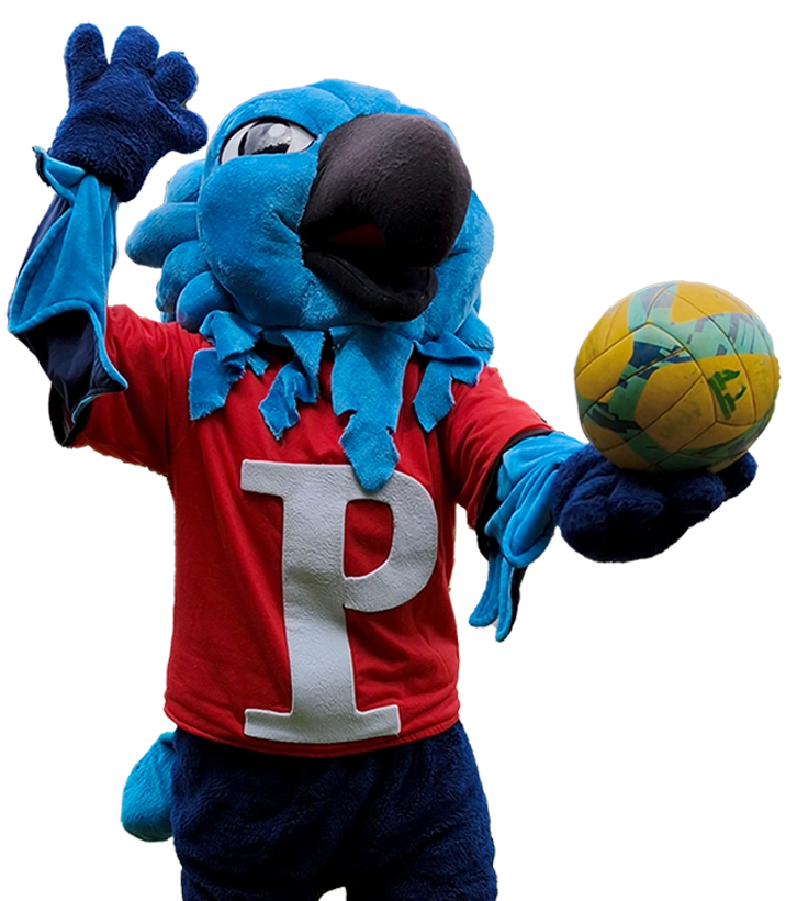Artes y Deportes CPM