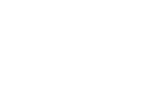 Aliado educativo